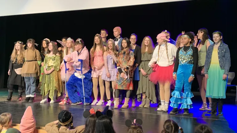 Unsere Prinzessinnen und Feen