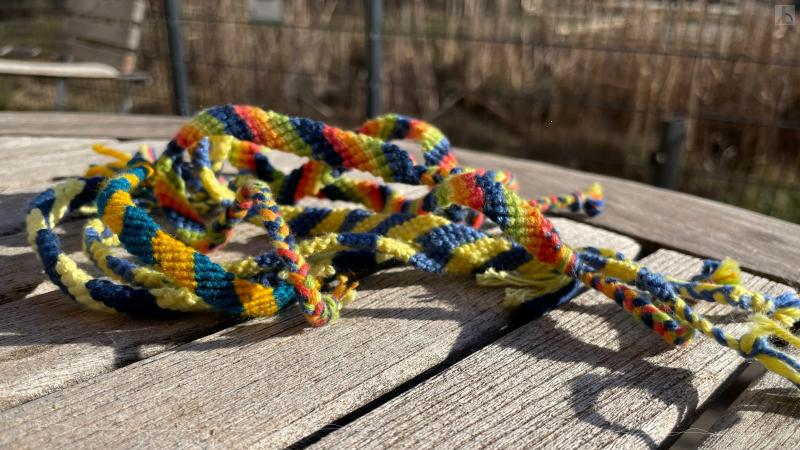 Freundschaftsbnder in Blau / Gelb
