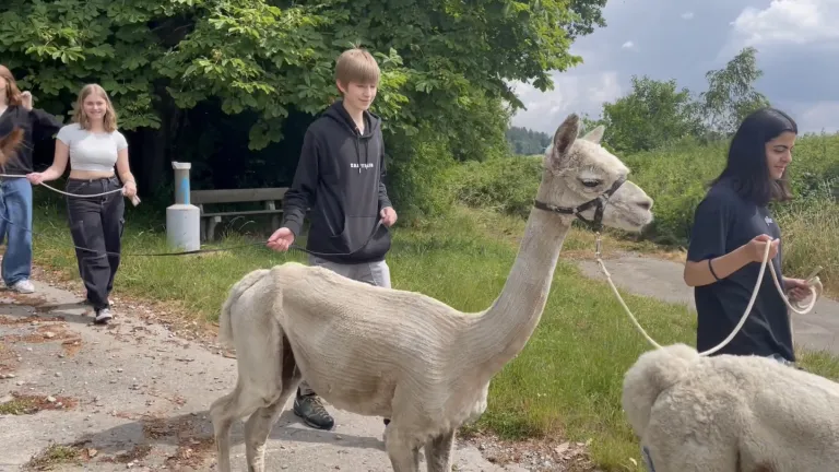Kind hngt gesichert an einem Seil in der Luft