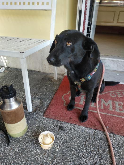 Chica auf der Terrasse