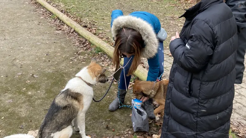 Matja und Skippy freuen sich auf Leckerlis