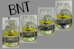 Schüler experimentieren